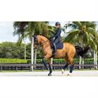 Saddle Pad LeMieux Prosort Plain 2 Pocket Dressage Dark Blue