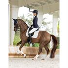 Saddle Pad LeMieux Prosort Plain 2 Pocket Dressage White