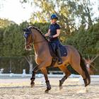 Saddle Pad LeMieux Self-Cool Dressage Dark Blue