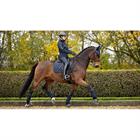 Saddle Pad LeMieux Soft Shell Anti Slip Dressage Dark Blue