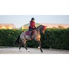 Saddle Pad LeMieux Soft Shell Anti Slip EuroJump Dark Red