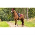 Saddle Pad LeMieux Softshell Anti Slip Cc Square Dark Red