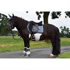 Saddle Pad Limited Edition Leopard Epplejeck Dark Blue