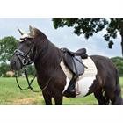 Saddle Pad Limited Edition Leopard Epplejeck Gold