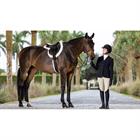 Saddle Pad Merino+ LeMieux Hunter White