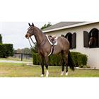 Saddle Pad Merino+ LeMieux ProSorb Hunter Numnah White