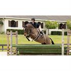 Saddle Pad Merino+ LeMieux ProSorb Hunter Numnah White