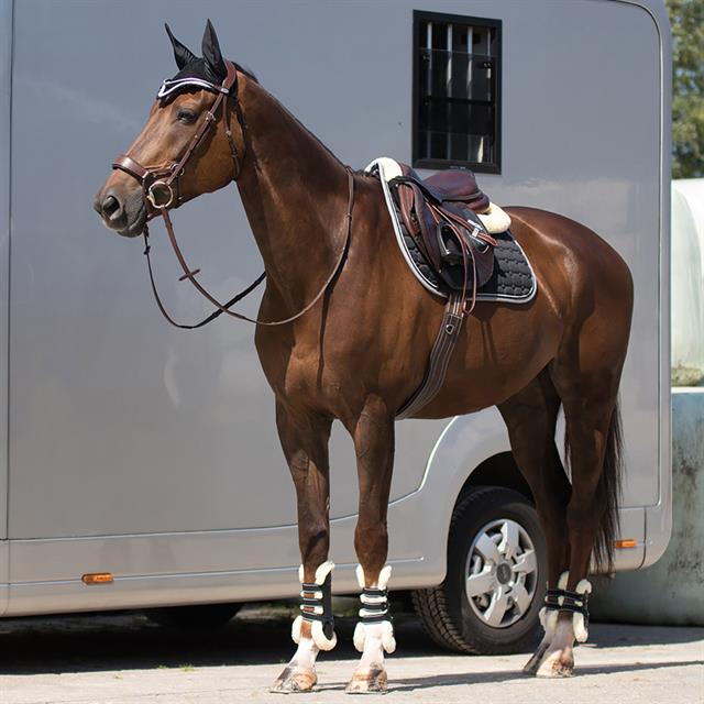 Saddle pad QHP Florence Black