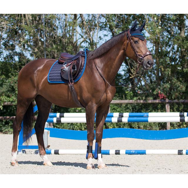 Saddle pad QHP Florence Dark Blue