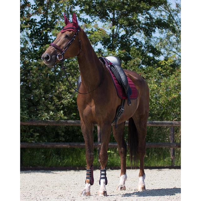 Saddle pad QHP Florence Dark Red