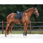Saddle Pad QHP Orlando Dark Green