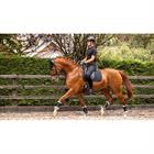 Saddle Pad Soft Shell Anti Slip Dressage LeMieux Black