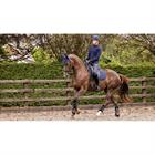 Saddle Pad Soft Shell Anti Slip Dressage LeMieux Dark Blue
