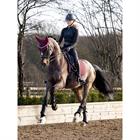 Saddle Pad Soft Shell Anti Slip Dressage LeMieux Dark Red