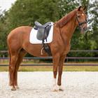 Saddle Pad Sparkle Dressage QHP White