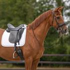 Saddle Pad Sparkle Dressage QHP White