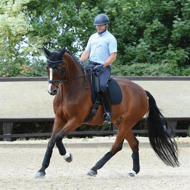 Saddle Pad WeatherBeeta Prime Dressage Black