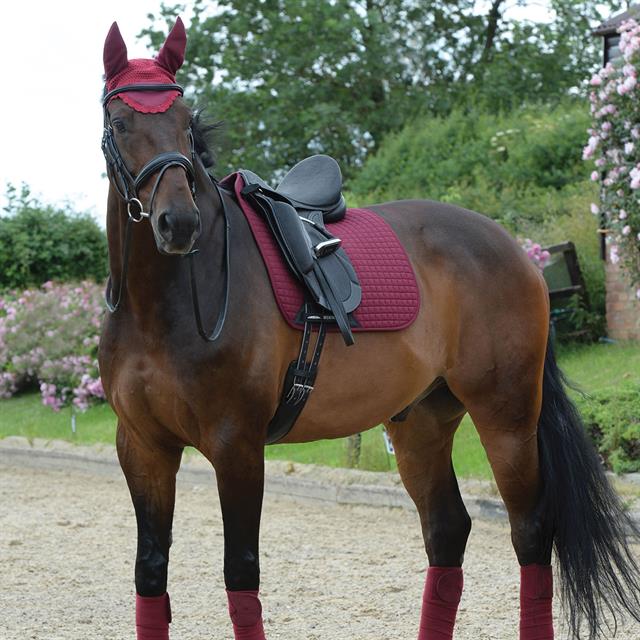 Saddle Pad WeatherBeeta Prime Dressage Dark Red