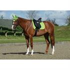 Saddle Pad WeatherBeeta Prime Dressage Light Green