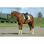 Saddle Pad WeatherBeeta Prime Dressage Light Green