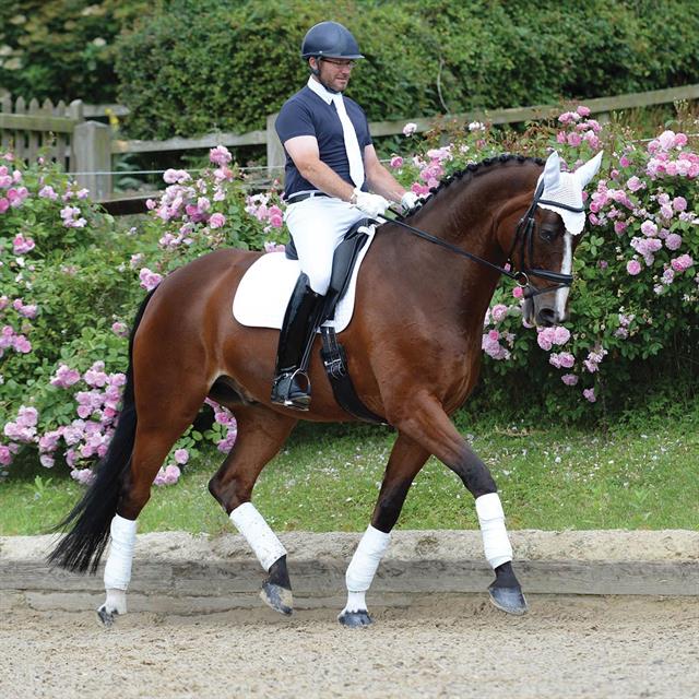 Saddle Pad WeatherBeeta Prime Dressage White