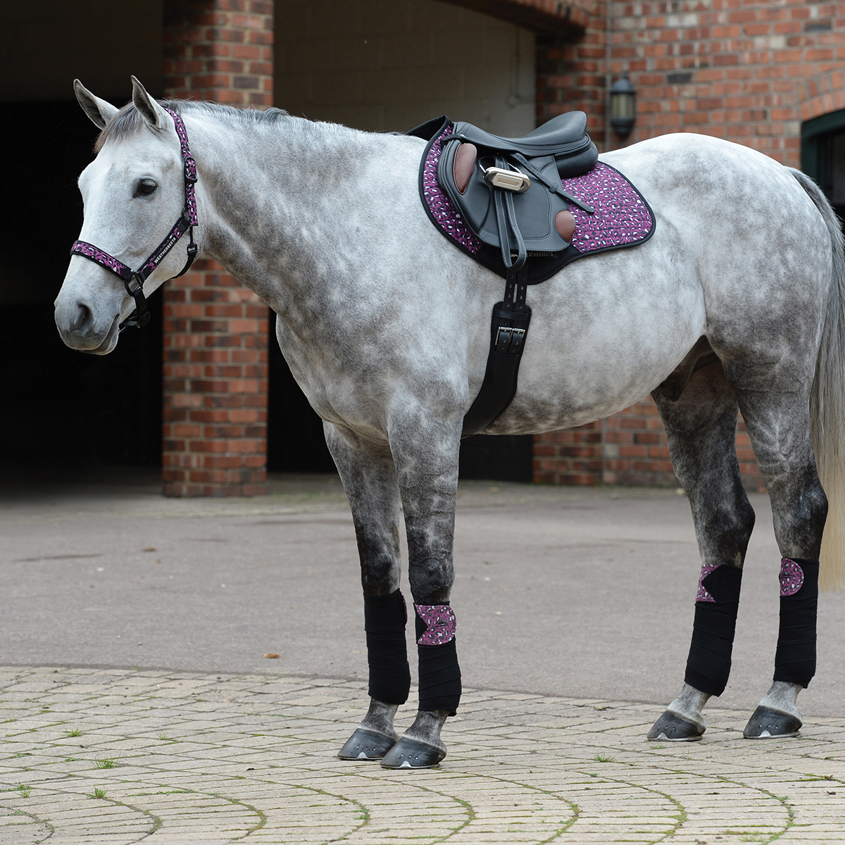 Pink Matchy Matchy Water proof Saddle Pad fly veil and tendon boot 