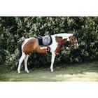 Schabracke Corduroy Kentucky Black