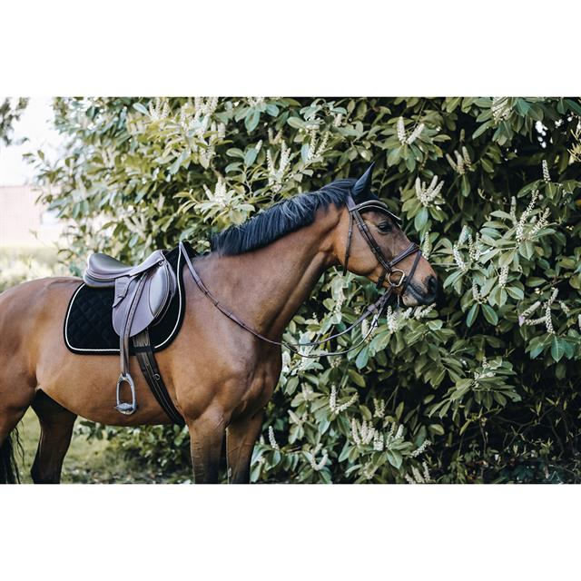 Schabracke Corduroy Kentucky Black