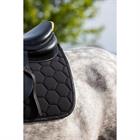 Schabracke Softshell Eskadron Black