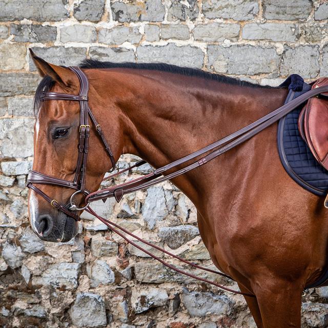 Schlaufzügel aus Leder/Nylon D Collection by Dy'on Brown