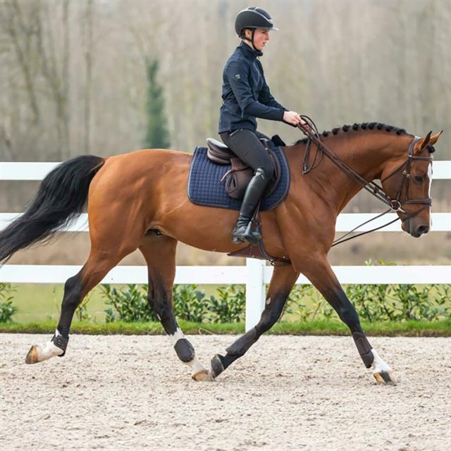 Schlaufzügel aus Vollleder D Collection by Dy'on Brown