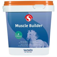 Sectolin Muscle Builder With L-Caritine Multicolour