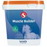 Sectolin Muscle Builder With L-Caritine 