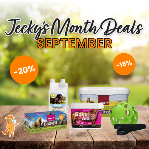 September must-haves for your horse: Discover Jecky’s Monthly Deals