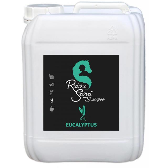 Shampoo Riders Secret Eucalyptus Other