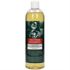 Shampoo Tea Tree Grand National Multicolour