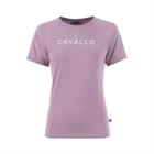 Shirt Cavallo Cotton Pink