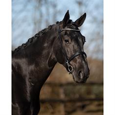 Show Bridle QHP Vesta Black