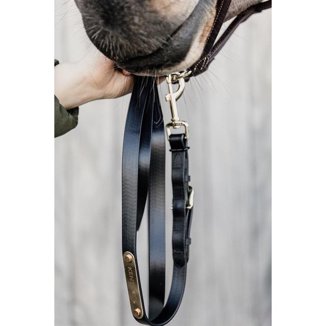 Show Lead Kentucky Black