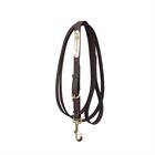 Show Lead Kentucky Brown