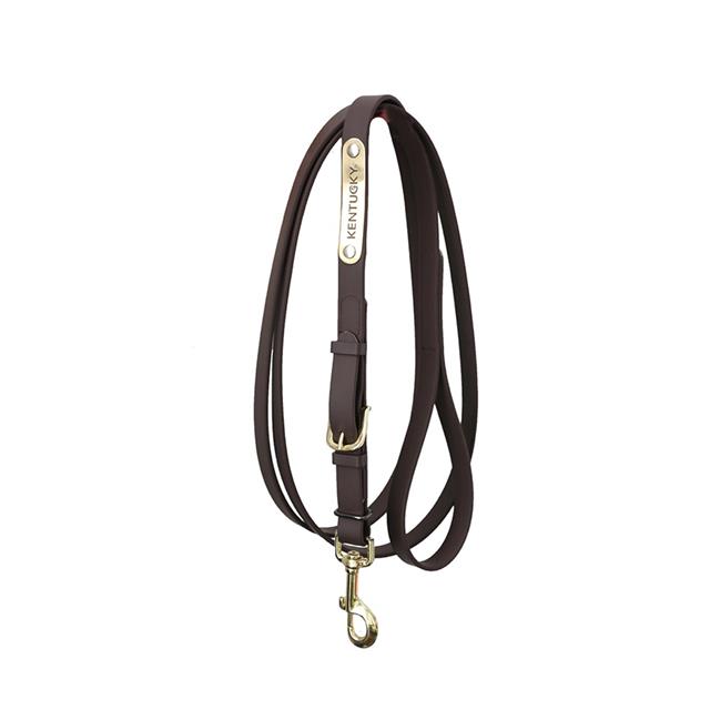 Show Lead Kentucky Brown