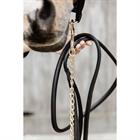 Show Lead Kentucky with Chain Black