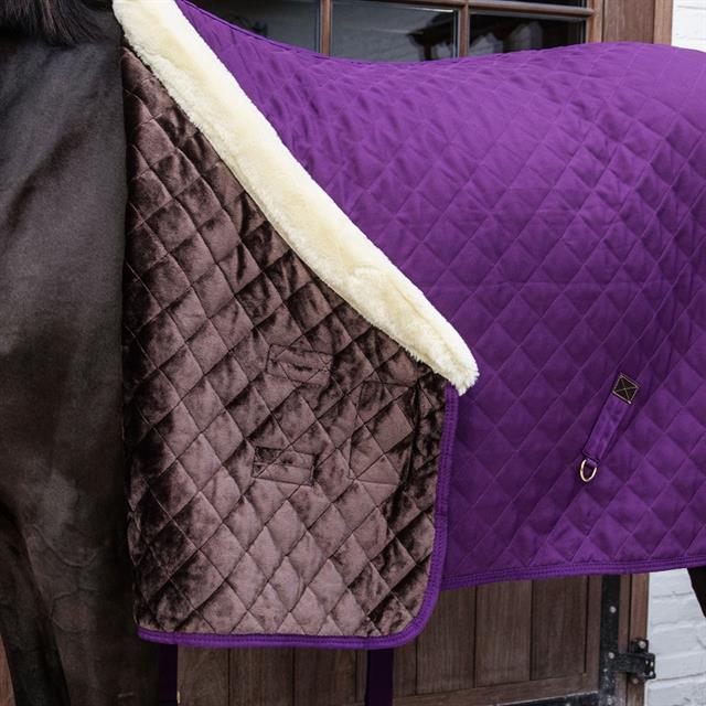 Show Rug Kentucky 160g Purple