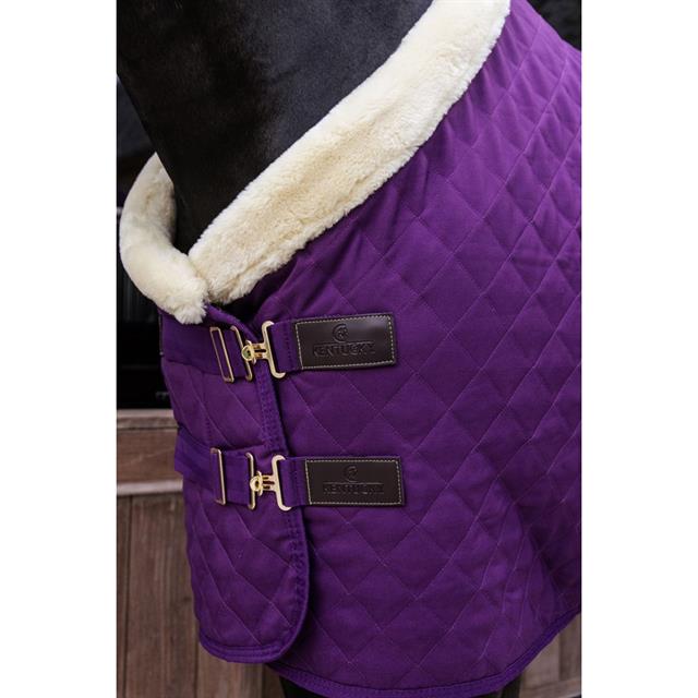 Show Rug Kentucky 160gr Purple