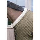 Show Rug Limited Kentucky 160g Green