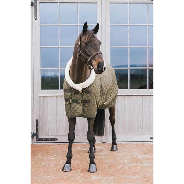 Show Rug Limited Kentucky 160g Green
