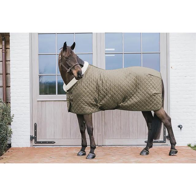 Show Rug Limited Kentucky 160g Green