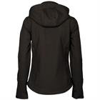 Softshell Jacket Harry's Horse Chicago Black