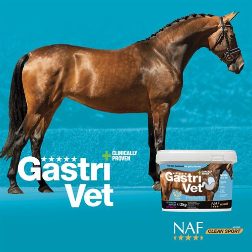 Soothing stomach ulcers in horses