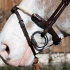 Sperrriemen mit 2 Abnehmbaren Befestigungen New English Collection Dy'on Brown